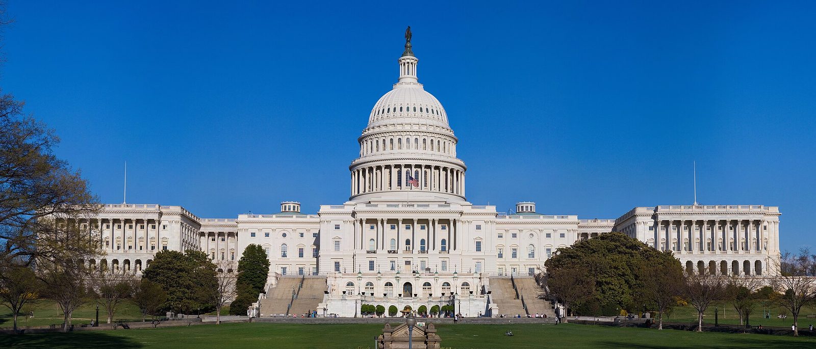The United States Capitol in Washington DC